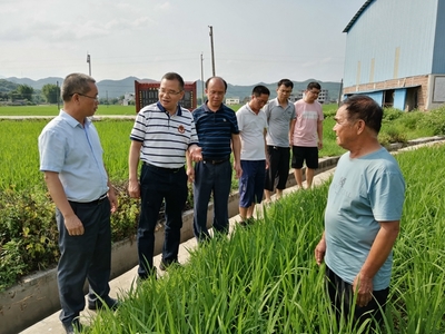 我區啟動全國五星鄉鎮農技推廣機構復核工作，深化農業技術研究與應用